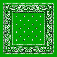 Grass Green Paisley Bandana