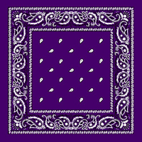 Purple Paisley Bandana