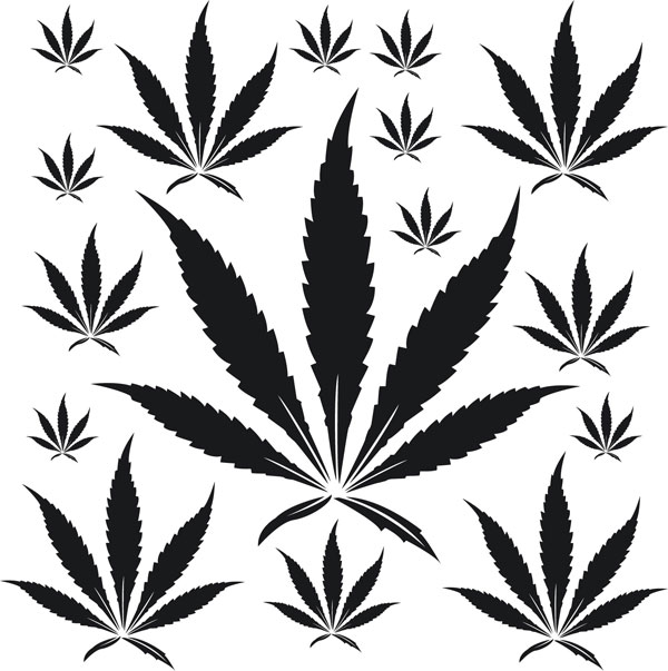 Marijuana Variety Decals